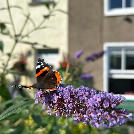 The Stopping Point- Exceptional Cumbrian Holiday home